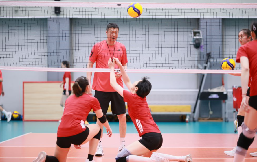 乐竞体育网站成功案例分享与启示